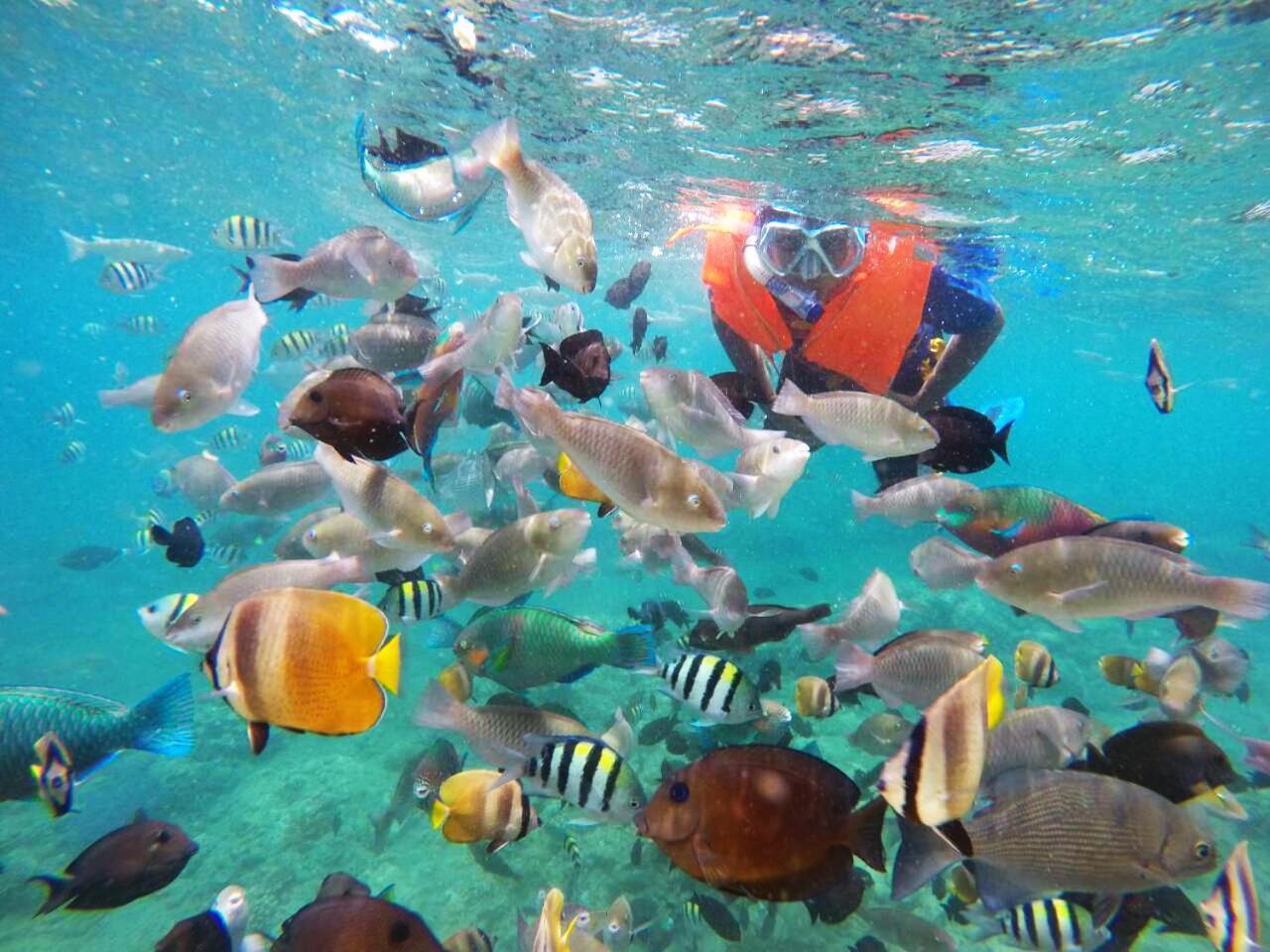 Dive And Trek Resort And Marine Sanctuary Bauan Buitenkant foto